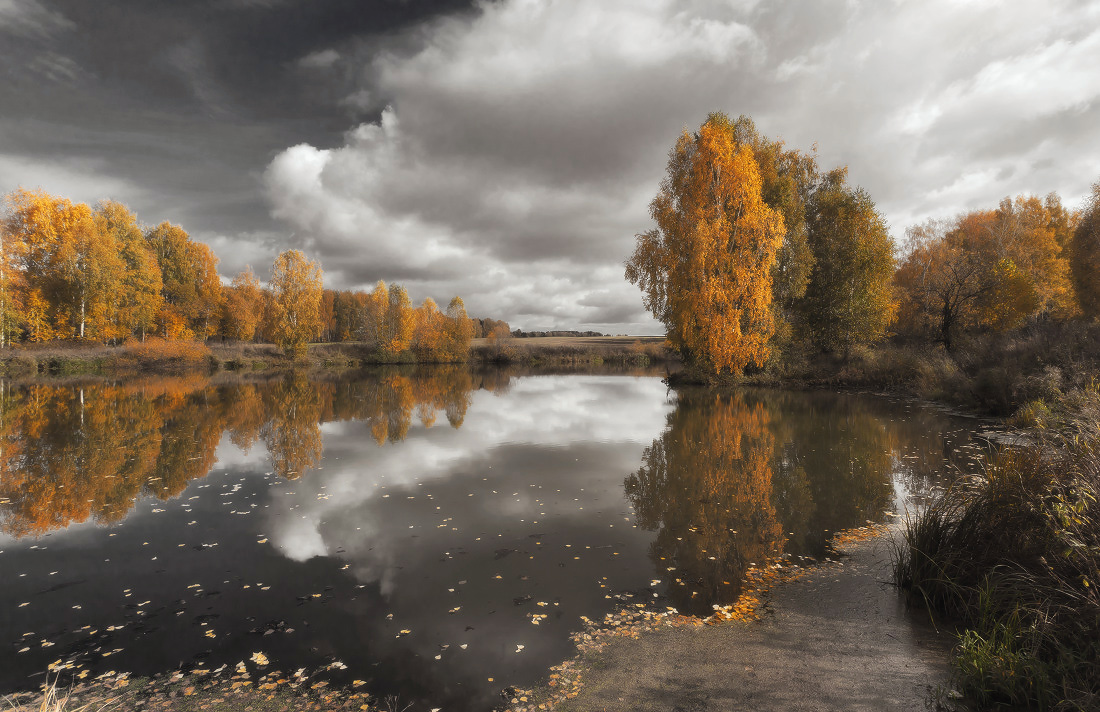 фото "Осенний цвет" метки: пейзаж, осень