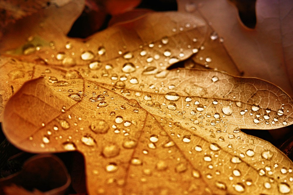 фото "***" метки: , 
