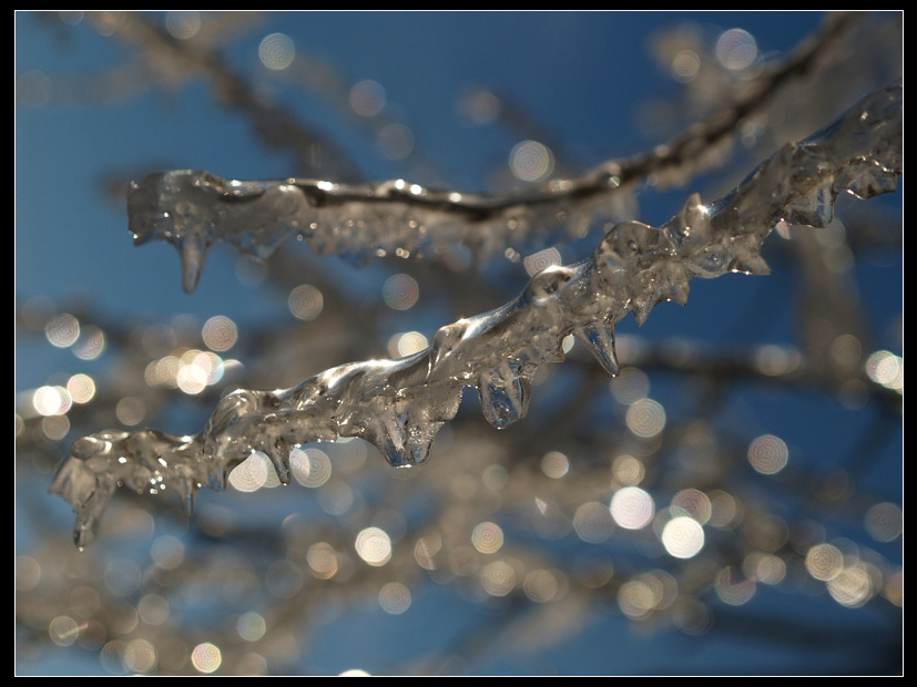 фото "Ice Forms" метки: пейзаж, зима, лес