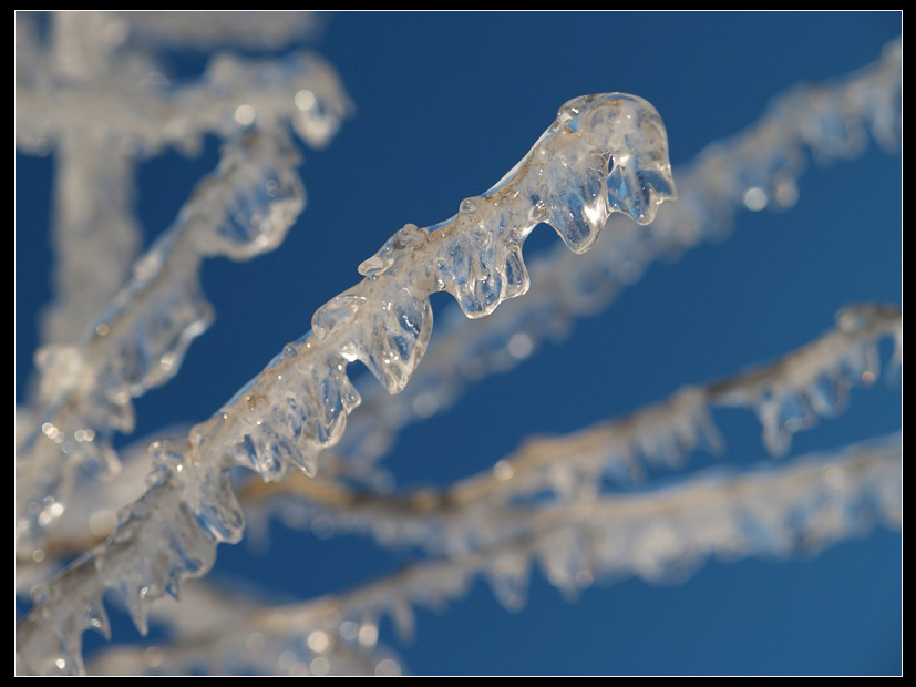 фото "Ice Forms" метки: пейзаж, зима, лес