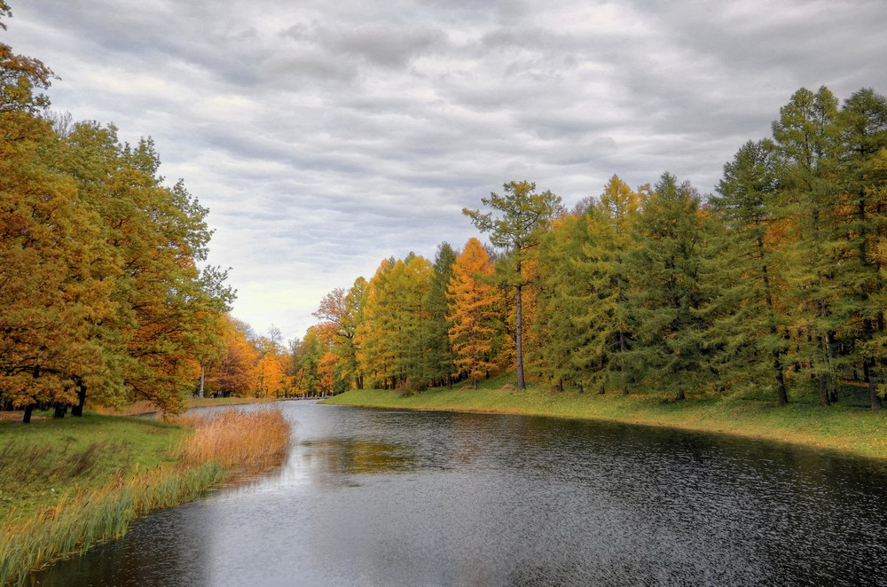 photo "***" tags: landscape, autumn, forest