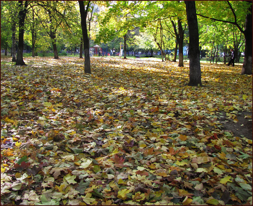 фото "Пестрый коврик" метки: пейзаж, осень