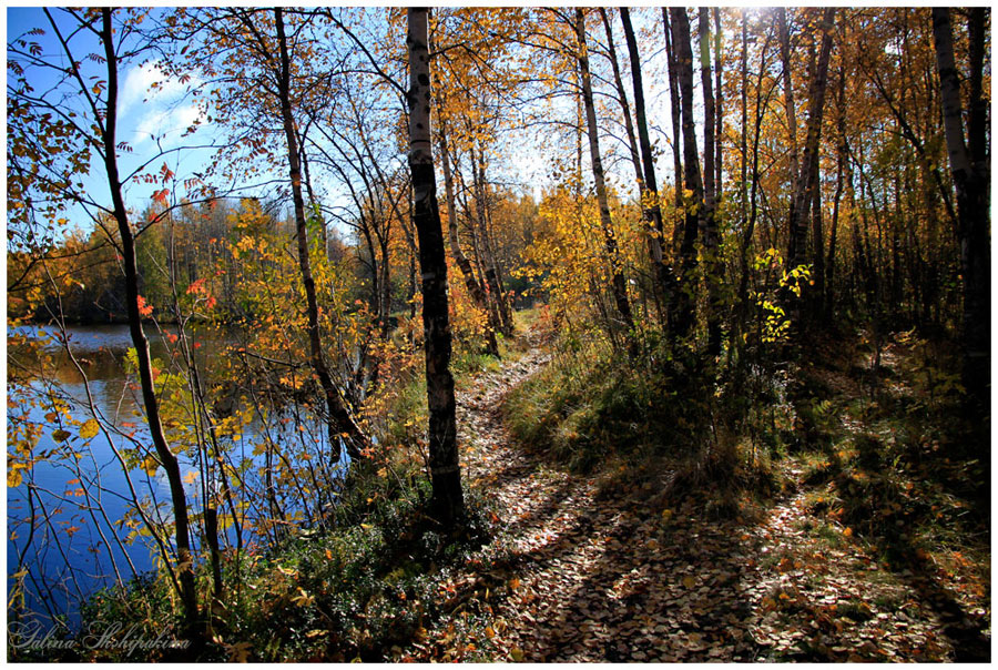 photo "***" tags: landscape, autumn