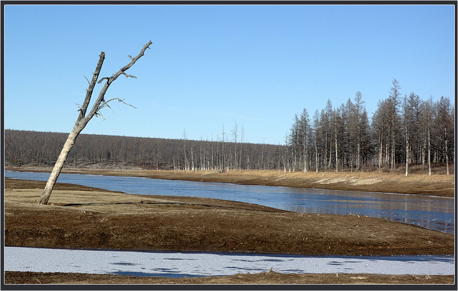 фото "Предзимье" метки: пейзаж, лес, осень