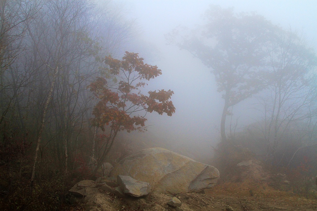 photo "***" tags: landscape, autumn