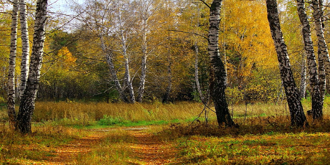 фото "Осенние краски" метки: пейзаж, осень