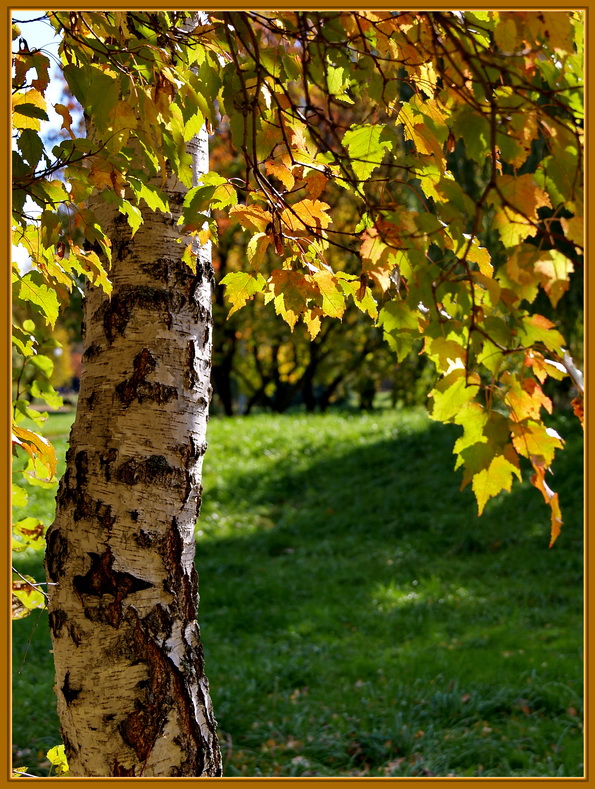 photo "***" tags: landscape, autumn