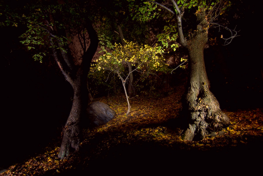 photo "***" tags: landscape, night