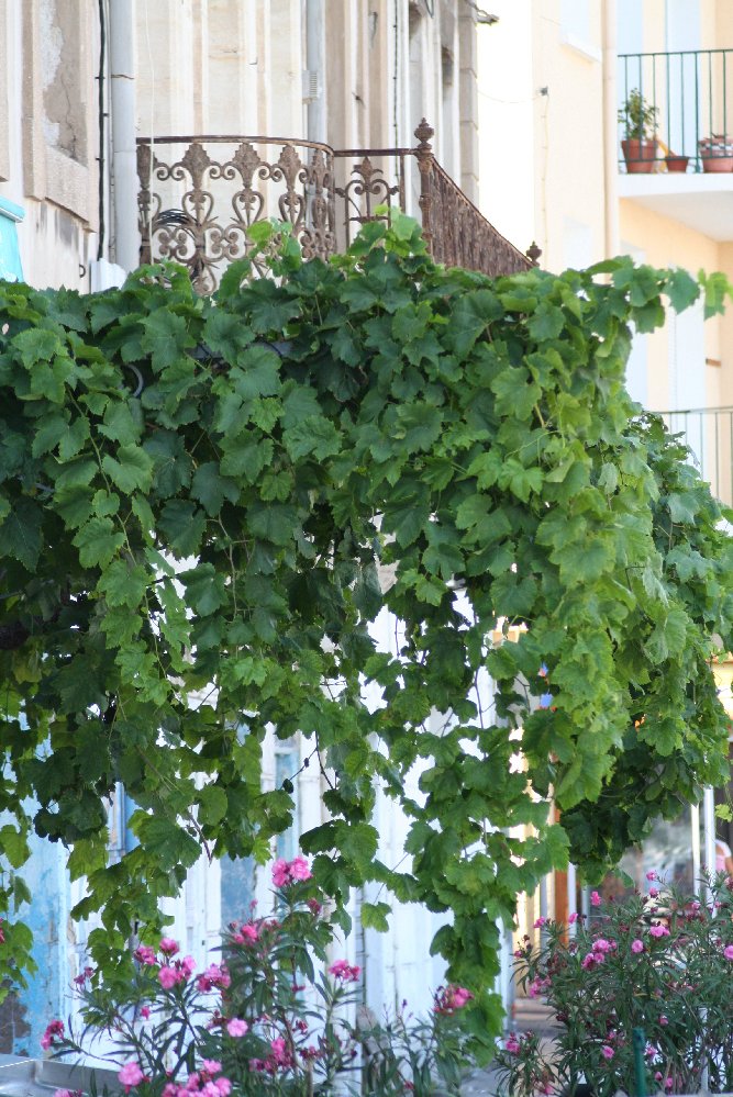 photo "balcony" tags: architecture, landscape, 