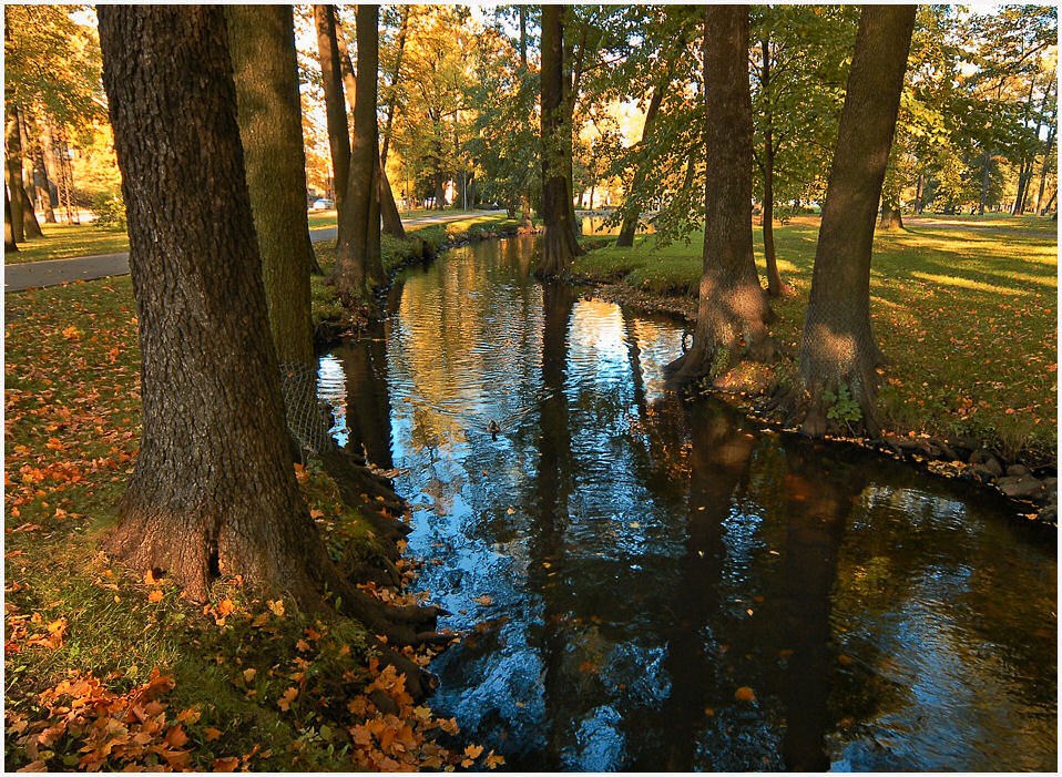 фото "Осенняя..." метки: город, 