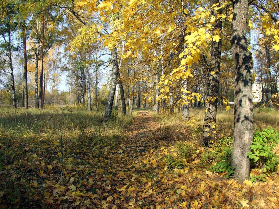 фото "Осень в парке" метки: пейзаж, осень
