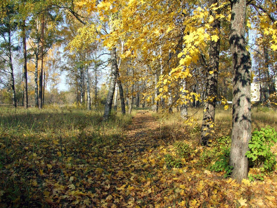 photo "***" tags: landscape, autumn