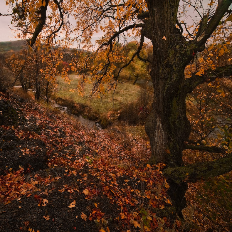 photo "***" tags: landscape, autumn