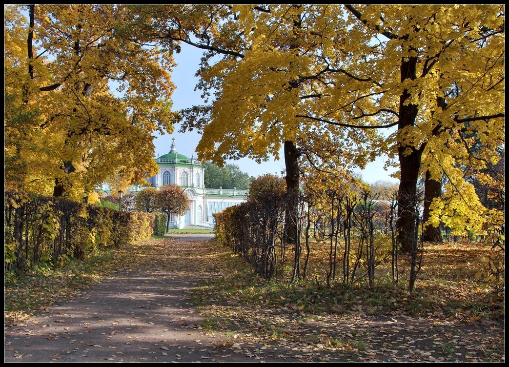 фото "в старом парке" метки: пейзаж, осень