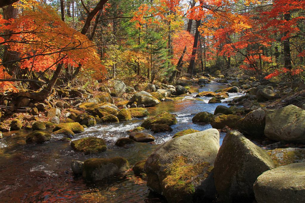 photo "***" tags: landscape, autumn