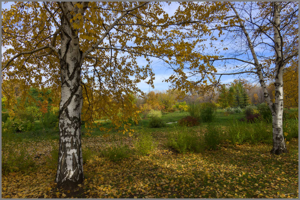 photo "***" tags: , 