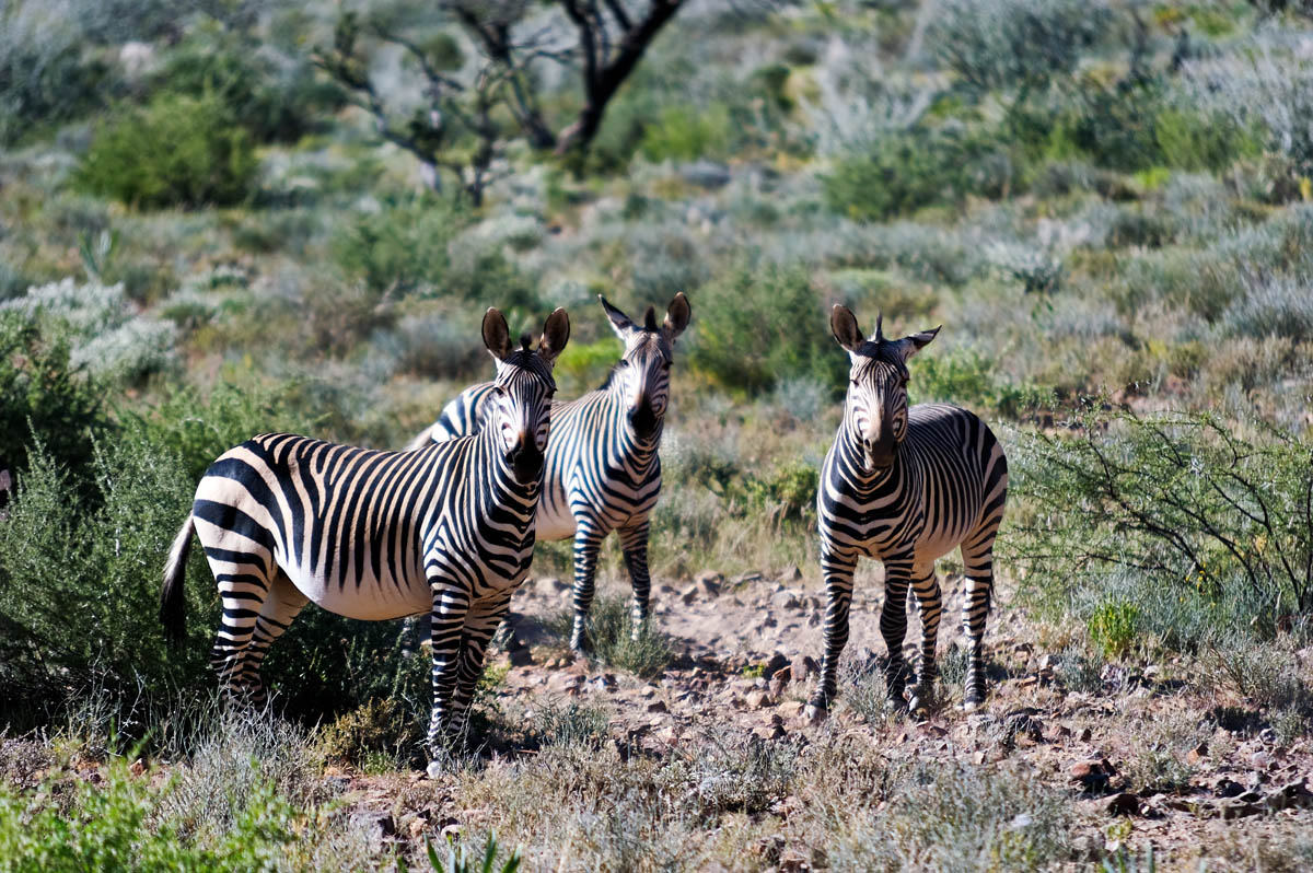 photo "mmmmh?" tags: nature, wild animals