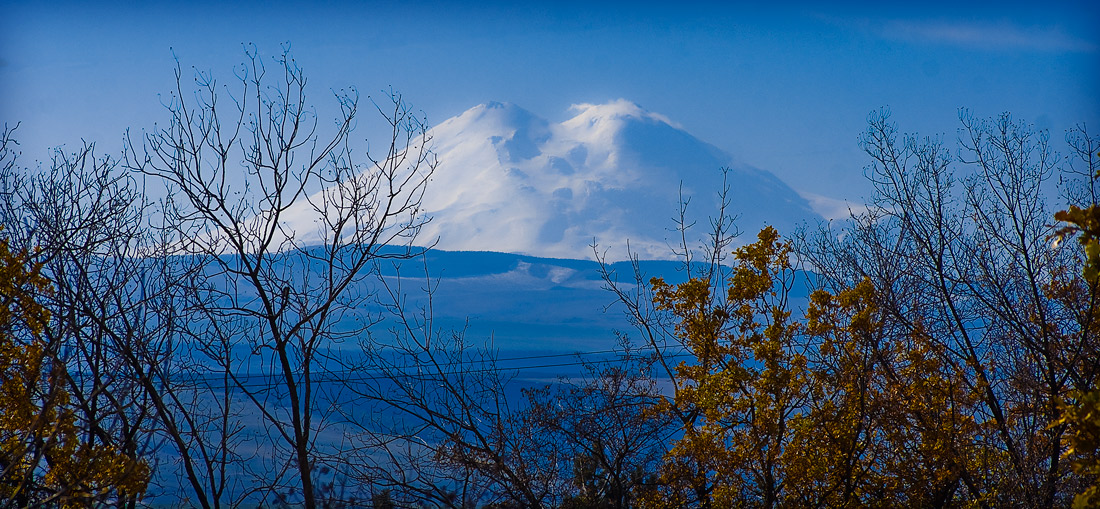 photo "Wind of change" tags: , 