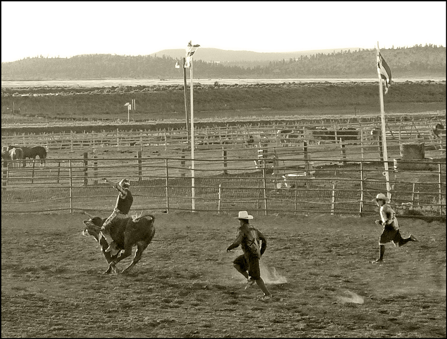 photo "Rodeo at sunset" tags: genre, black&white, 