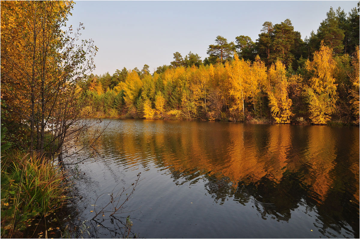 photo "***" tags: landscape, nature, autumn, flowers