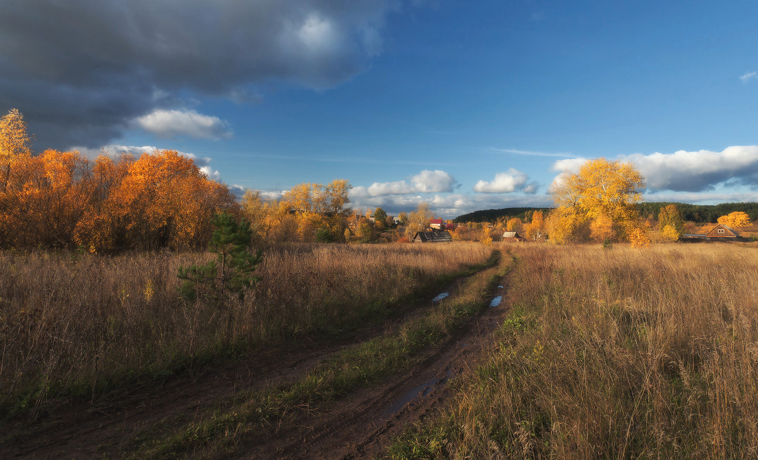 фото "Осенняя колея" метки: пейзаж, осень