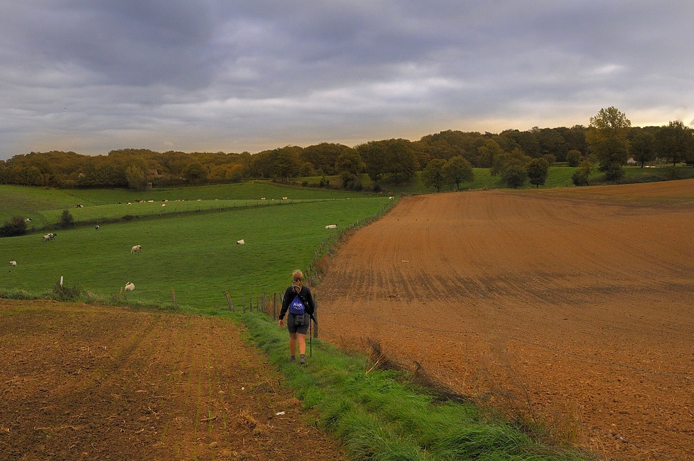 photo "***" tags: landscape, autumn