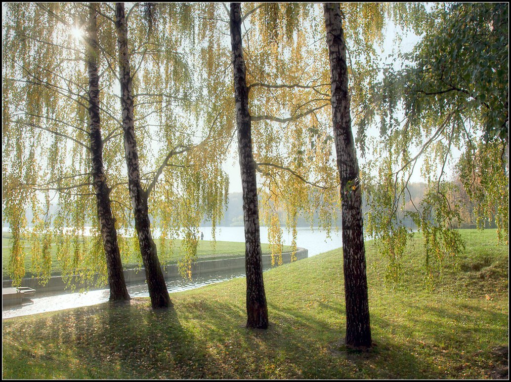 фото "осенний свет" метки: пейзаж, осень