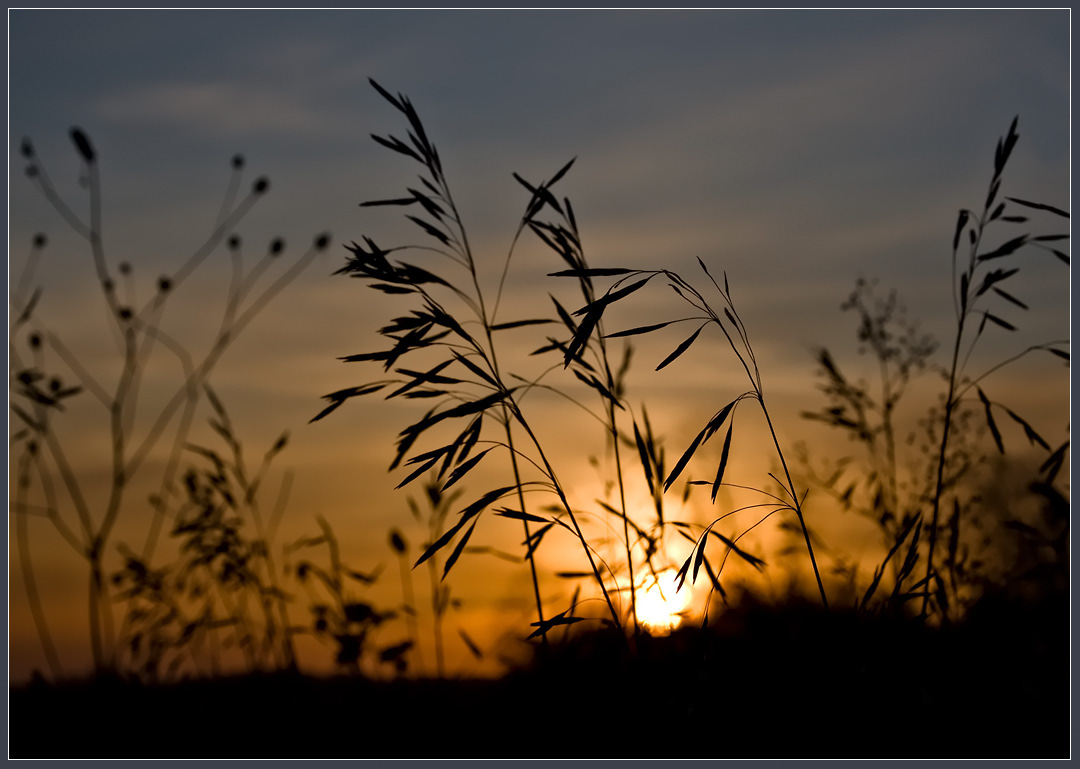 photo "***" tags: landscape, autumn, sunset