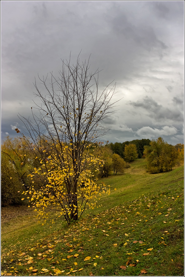 photo "***" tags: landscape, autumn