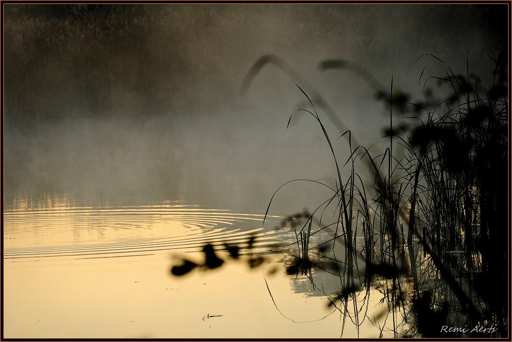 photo "misty morning" tags: landscape, sunset, water