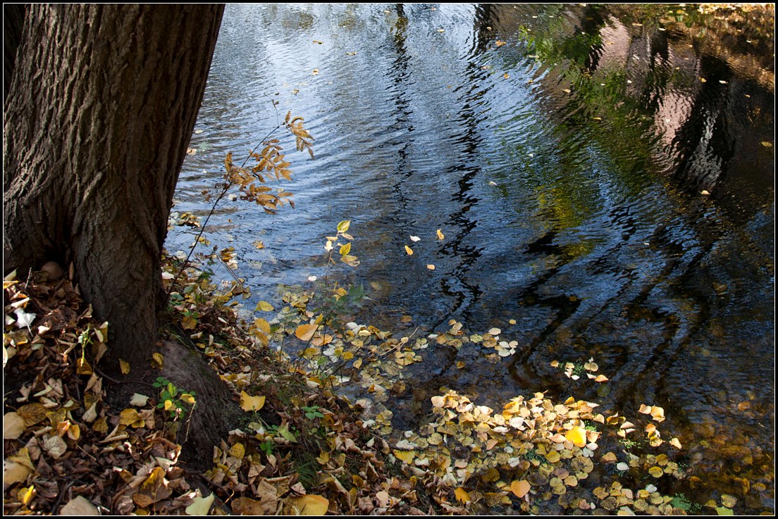 photo "autumn reflections" tags: landscape, autumn, water