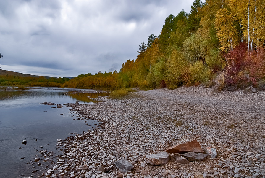 photo "***" tags: landscape, autumn, forest