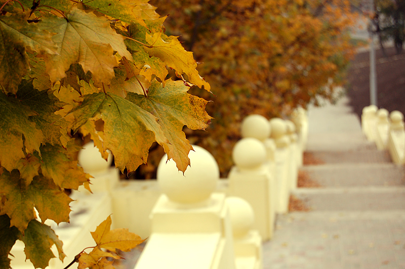 photo "***" tags: landscape, autumn