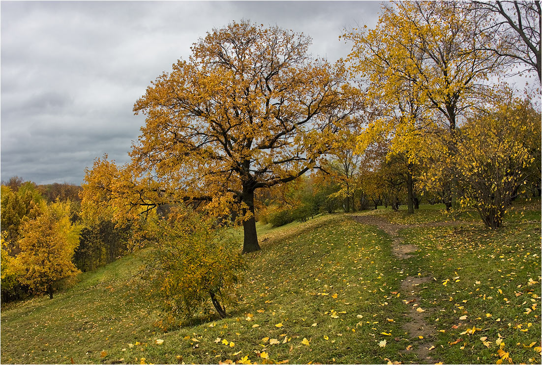 photo "***" tags: landscape, autumn