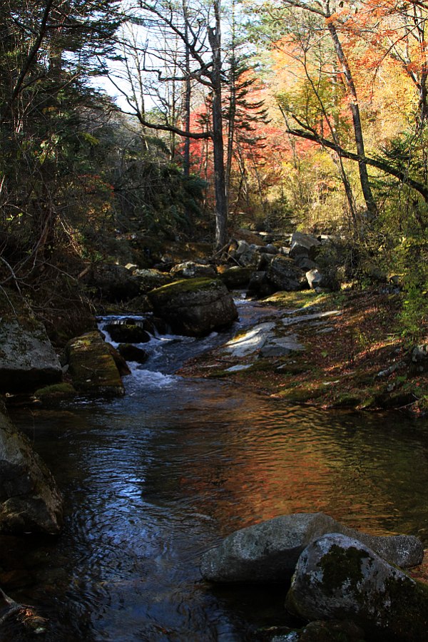 photo "***" tags: landscape, autumn