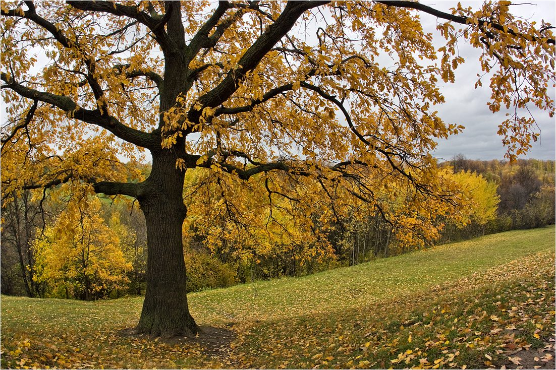 photo "***" tags: landscape, autumn