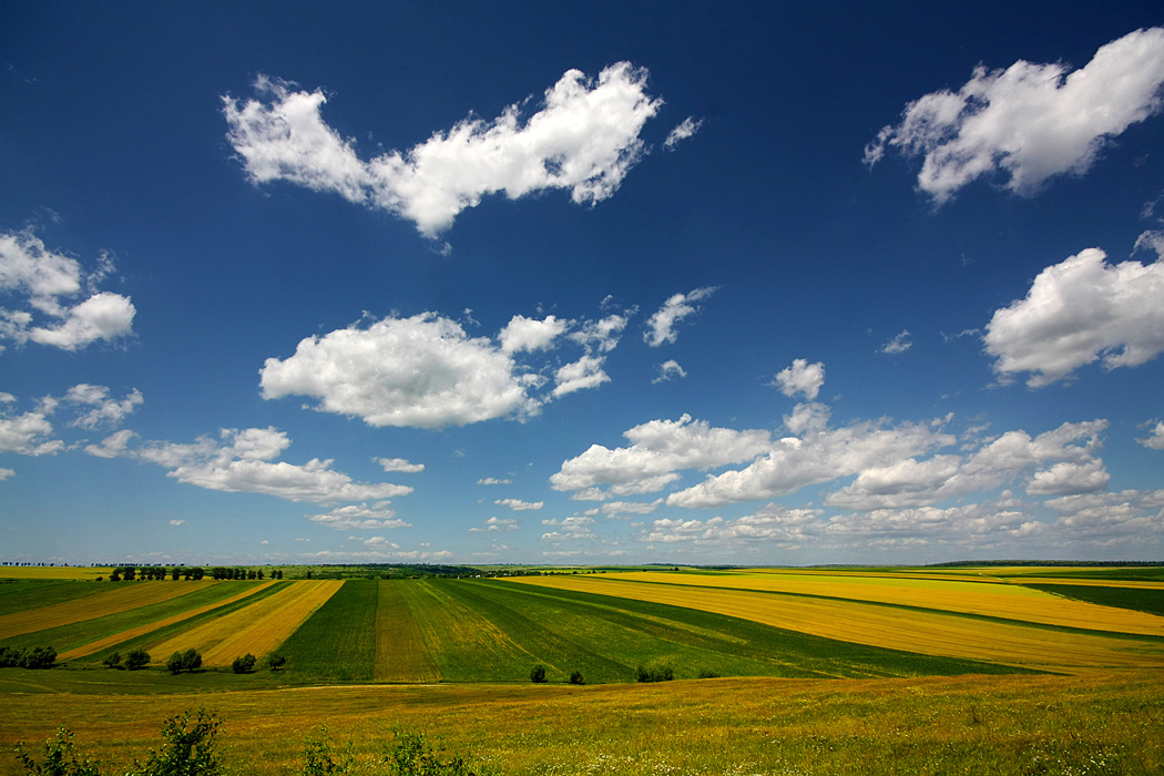 photo "Spring field" tags: landscape, clouds, field, sky, spring