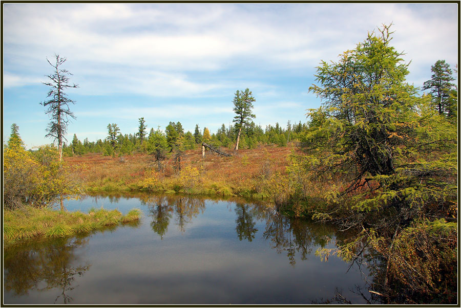 photo "***" tags: landscape, autumn, forest