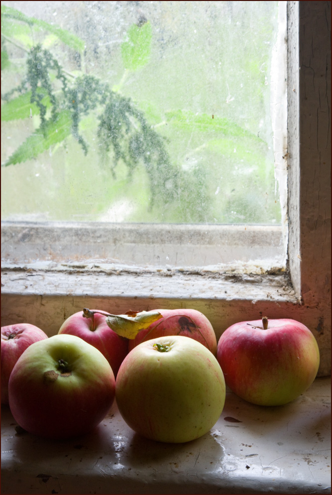 photo "apples  5,5S" tags: still life, interior, 