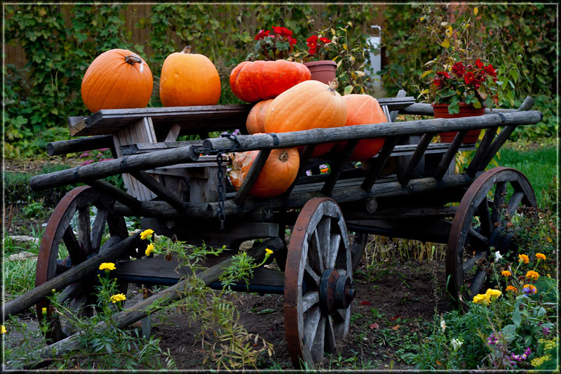 фото "***" метки: разное, 