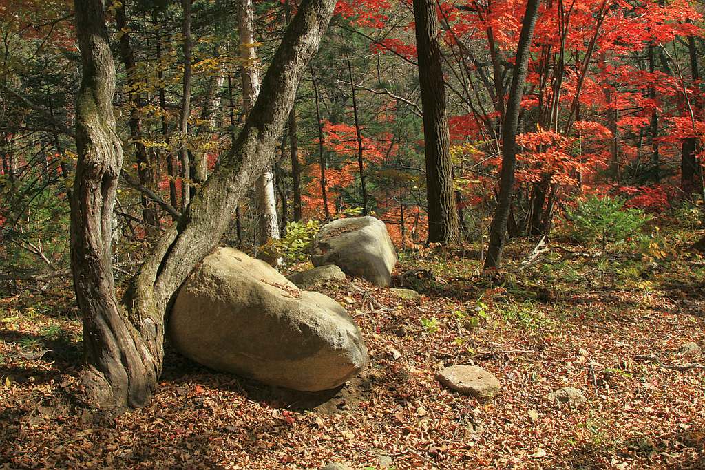 photo "***" tags: landscape, autumn