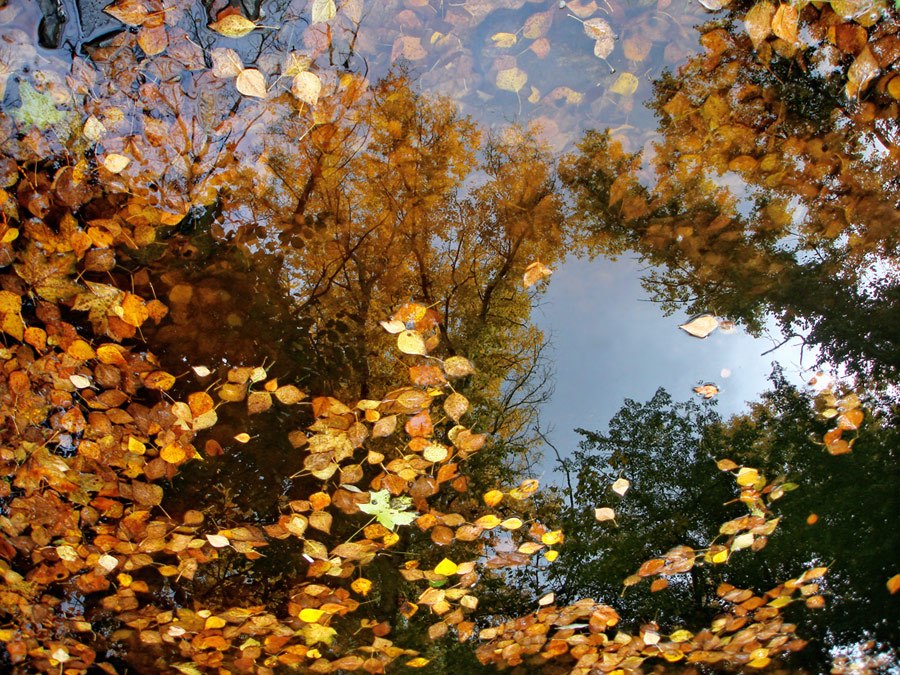 photo ".. mirror memories .." tags: landscape, autumn, water