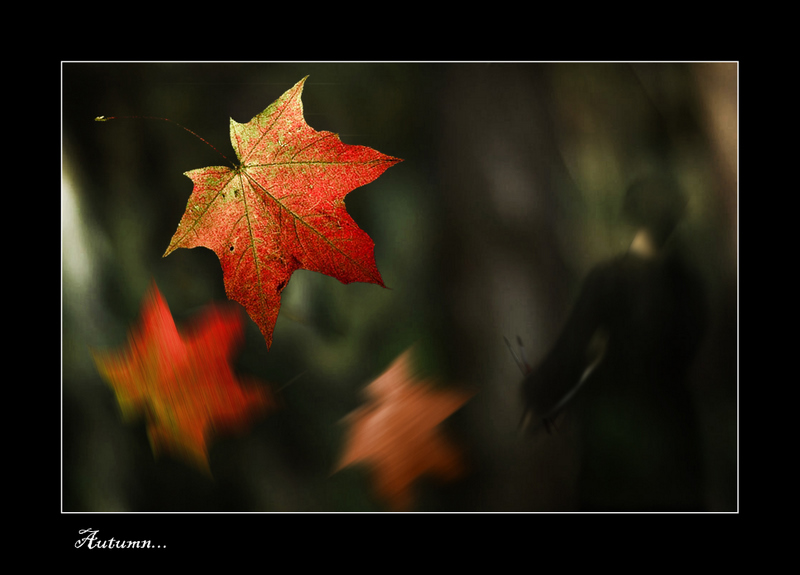 фото "Autumn..." метки: фотомонтаж, разное, 