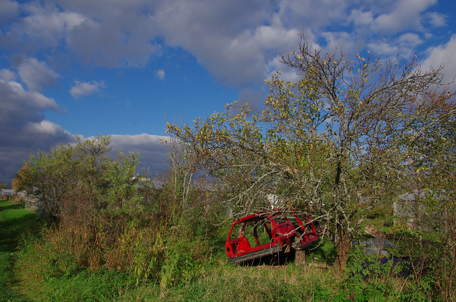 photo "***" tags: misc., 