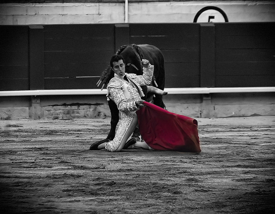 фото "torero" метки: digital art, черно-белые, 