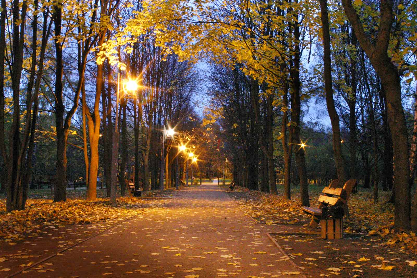 фото "В Тропаревском парке в сумерки" метки: пейзаж, ночь, осень