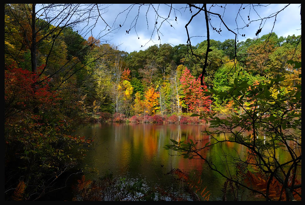 photo "***" tags: landscape, autumn, forest