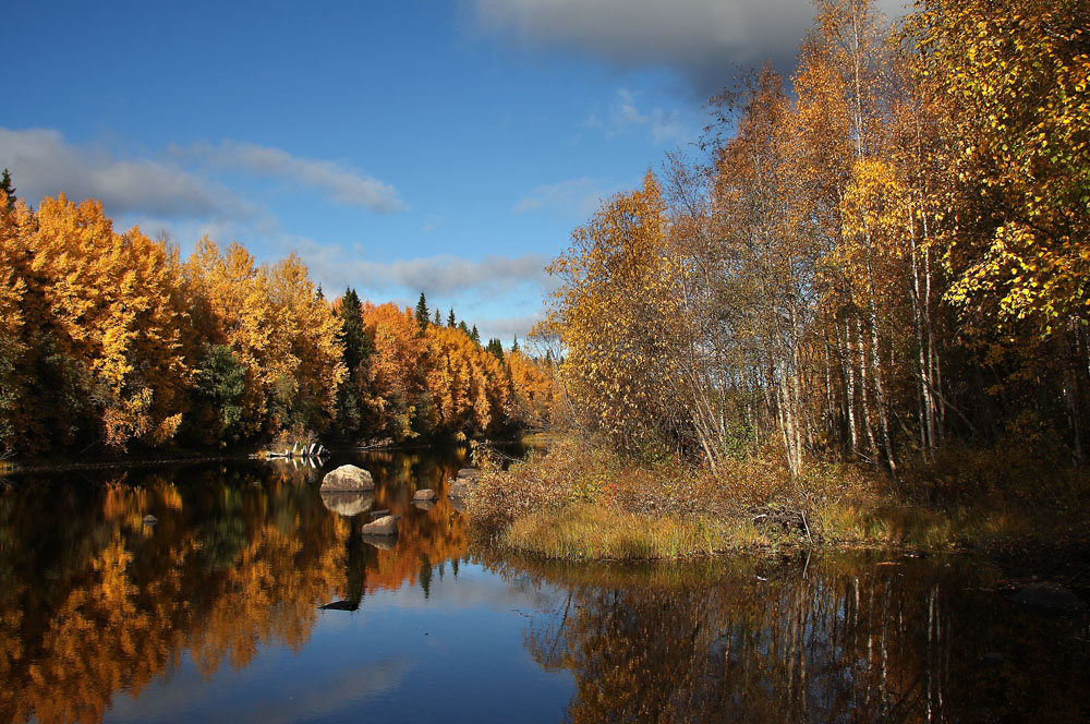 photo "***" tags: landscape, autumn