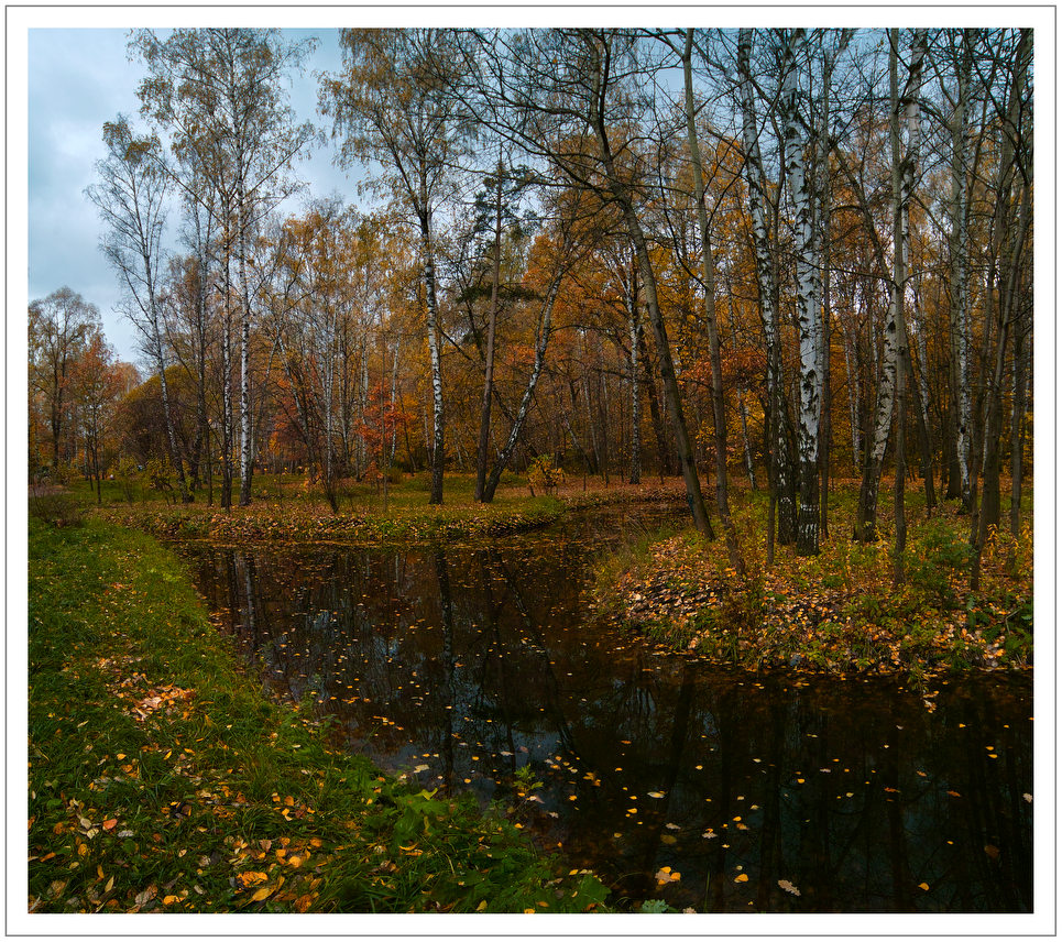 фото "Лосиный остров. Октябрь." метки: пейзаж, осень