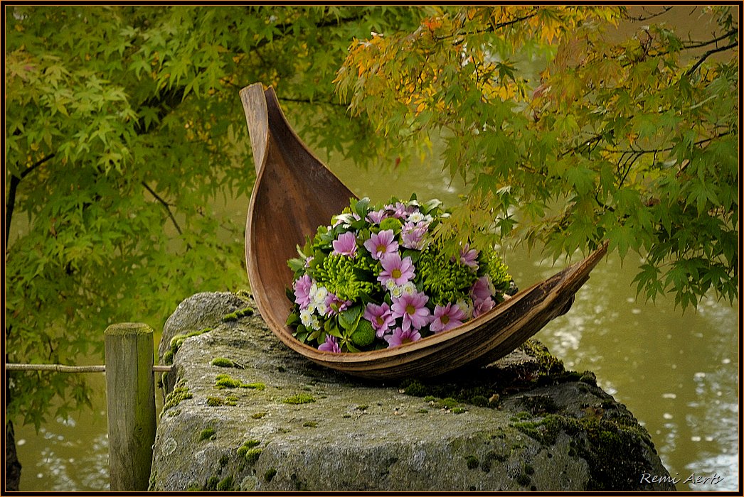 Паруса весел лодочки растения. Лодка с цветами. Лодка в цветах. Лодочка в цветах. Цветник в лодке.